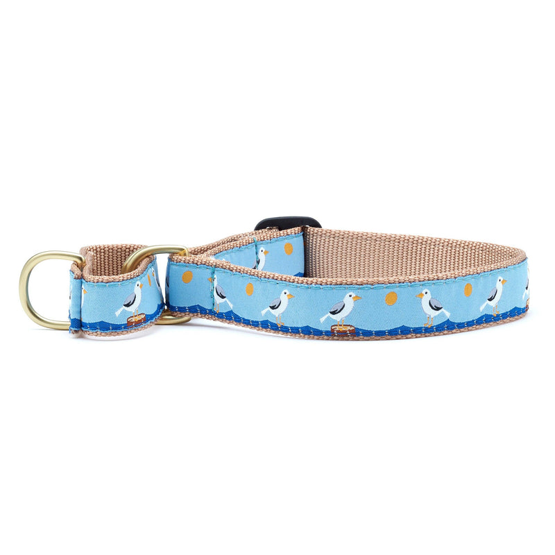 Gull Watch Martingale Dog Collar