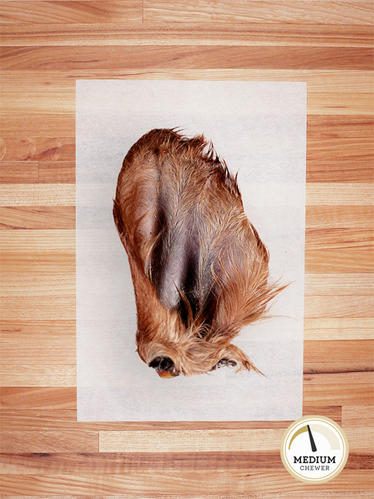 Farm Hounds Bulk Chew: Beef Ear with Hair - All-Natural
