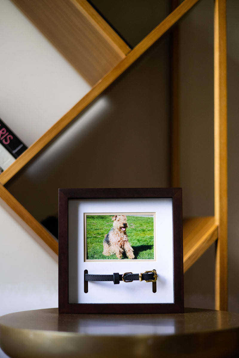 Memorial Pet Collar and Photo Frame in Espresso