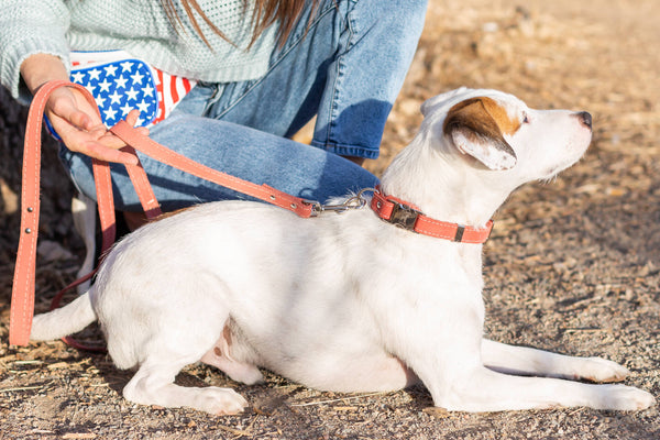 Quick-Release Style Soft Leather Euro Dog Collar: Coral Soft