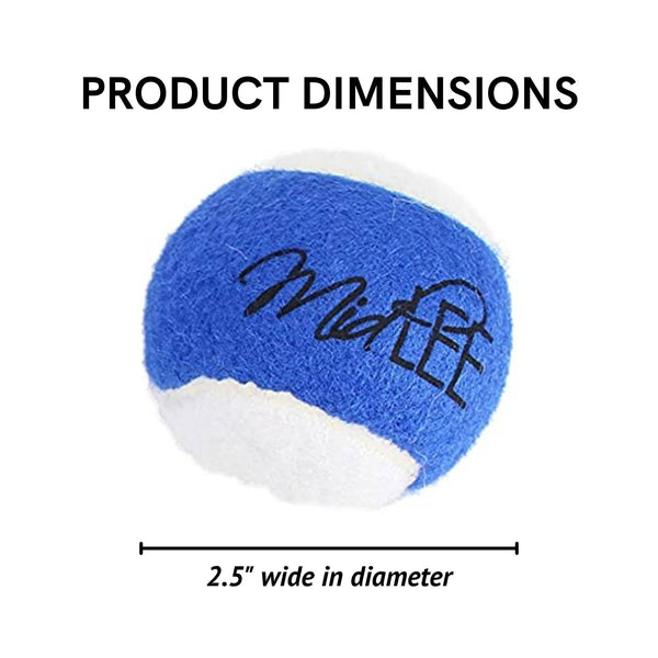 Midlee Blue/White Hanukkah Tennis Balls (Regular, 6pk)