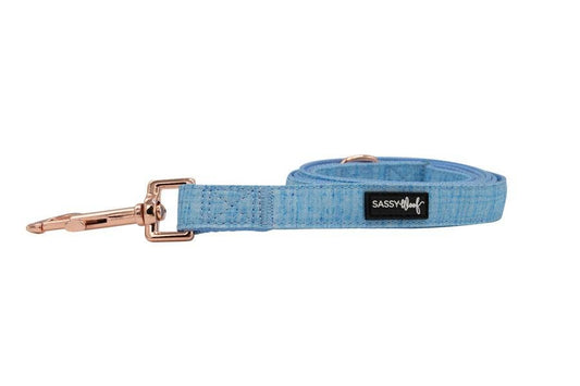 Dog Leash - Blumond