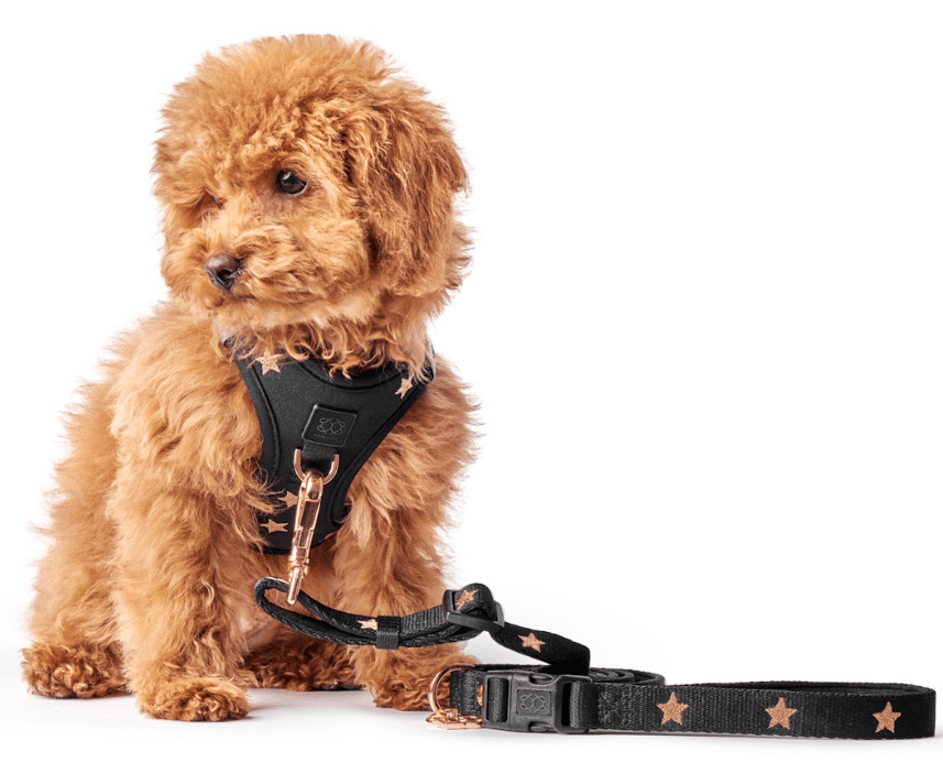 DOG HARNESSES