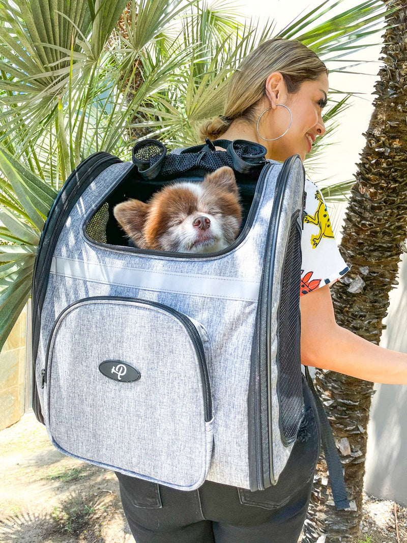 The Backpacker Pet Carrier: Glacier