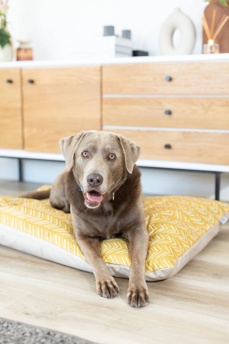 Yellow Chevron Pattern Washable Pet Bed Cover: Medium Bed Cover Only