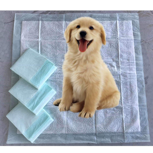 Mr. Peanut’s Premium Absorbent Gel Pee Pads 23"X23", 6 Layers of Lightly Scented Protection: 4 Pad Pack