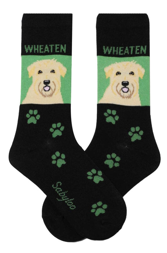 Wheaten Dog Socks: 10-13