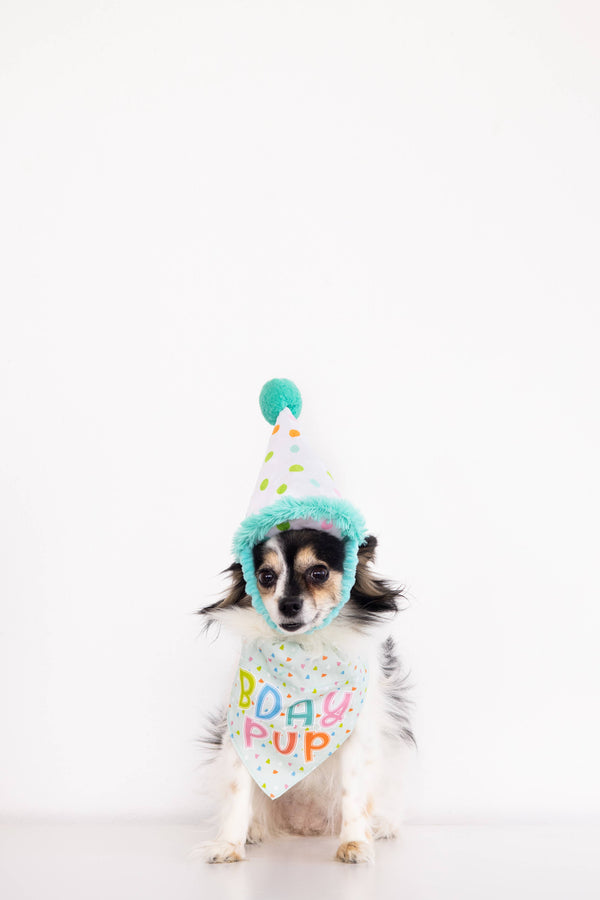 Birthday Pup Bandana & Hat Set - S/M