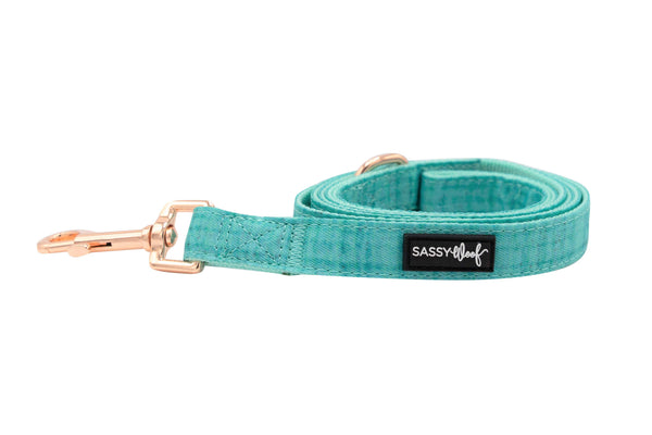 Dog Leash - Wag Your Teal