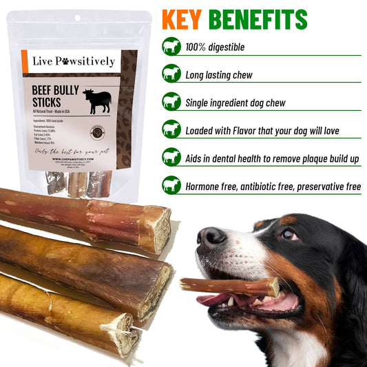 6 Inch Jumbo Bully Sticks 3 Pack