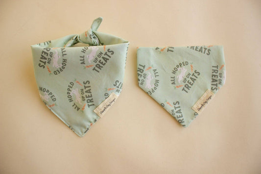 Hopped Up on Treats Bandana - Spring Dog Bandana