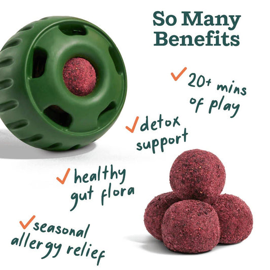 Allergy & Immunity Wellness Pops