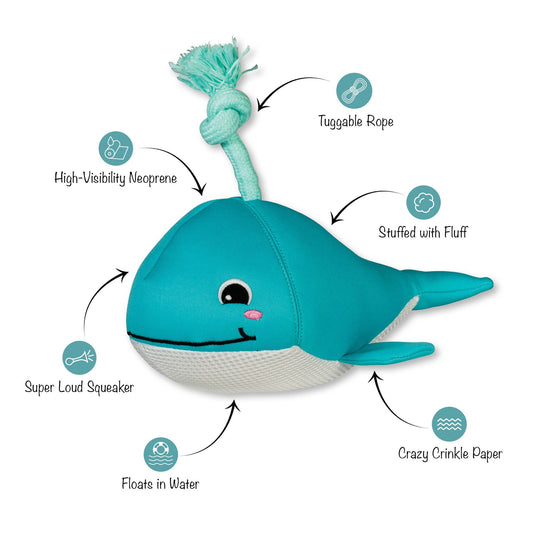 SPLASHY FLOATING DOG TOY