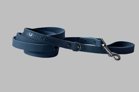 Sport Style Euro Dog Lead: Navy / Large 3/4" Wide 6' Long