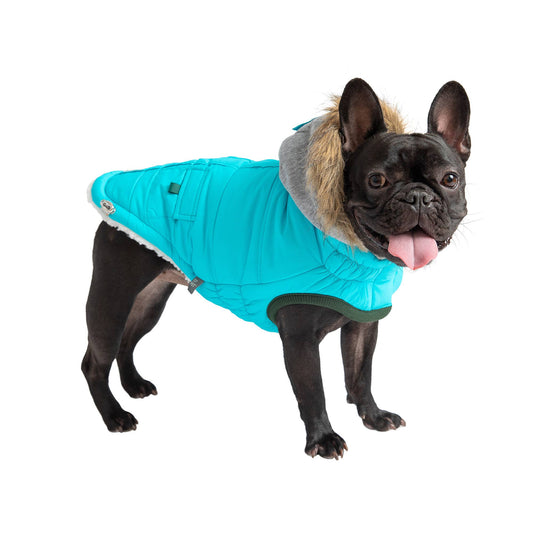 GF Pet Winter Sailor Parka - Aqua