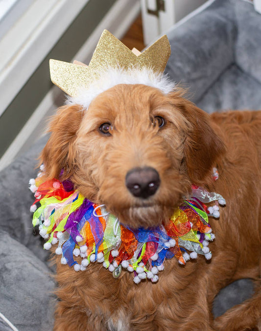Multipet Party Crown Gold