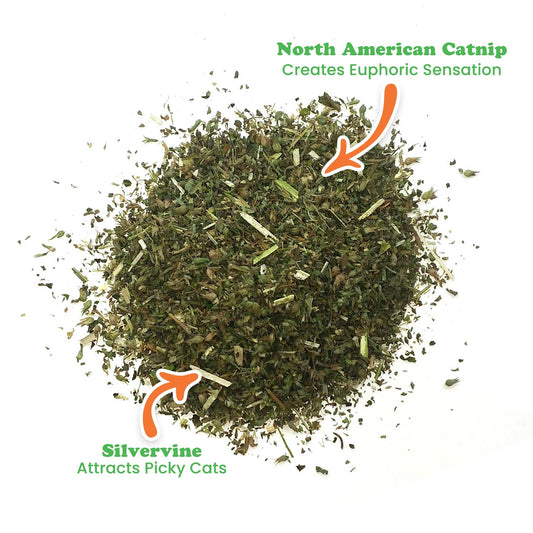 Meowijuana Purrple Passion - Catnip and Silvervine Blend