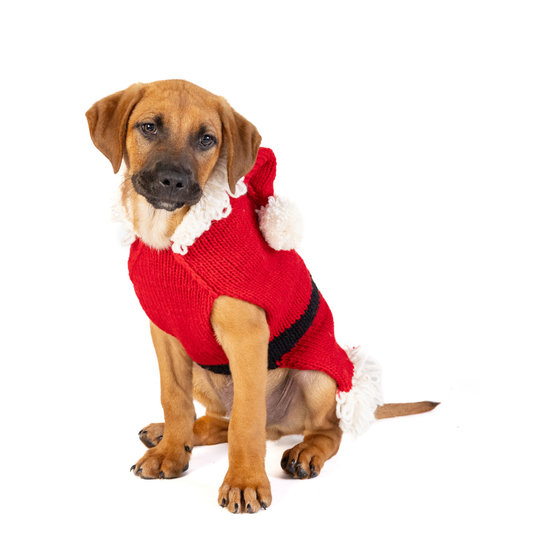 Chilly Dog- Santa Dog & Cat Sweater