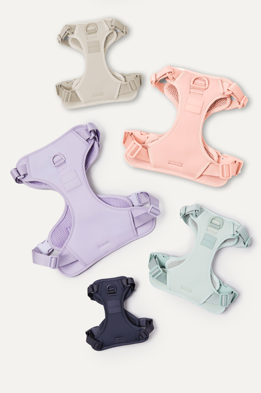 Maxbone Double Panel Dog Harness L/XL