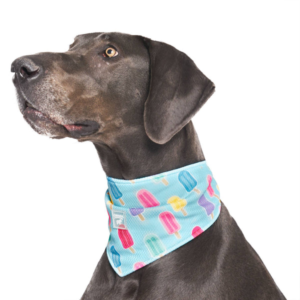 Chill Seeker Cooling Dog Bandana (Popsicles): S / Popsicles