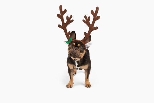 Midlee Brown Reindeer Dog Antlers Headband