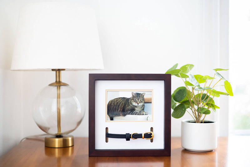 Memorial Pet Collar and Photo Frame in Espresso