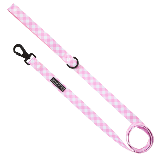 Big and Little DOG LEASH: Pink Milk Gingham: 2.5cm Wide