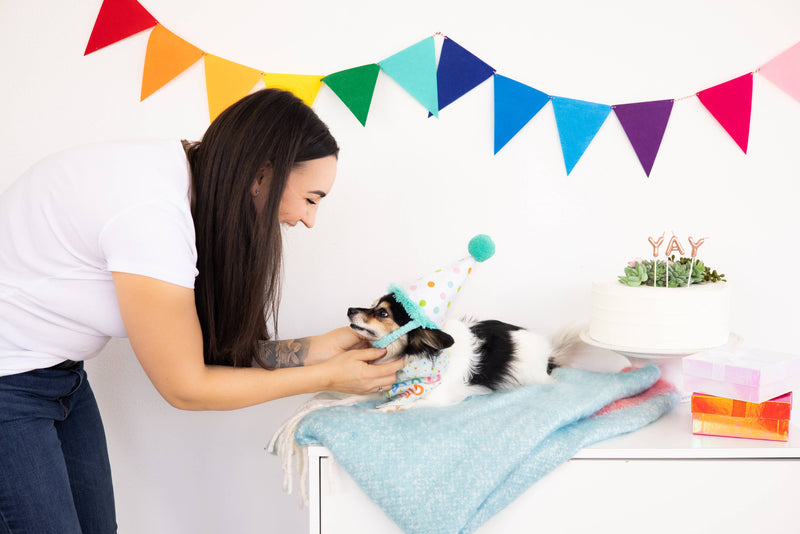 Birthday Pup Bandana & Hat Set - S/M