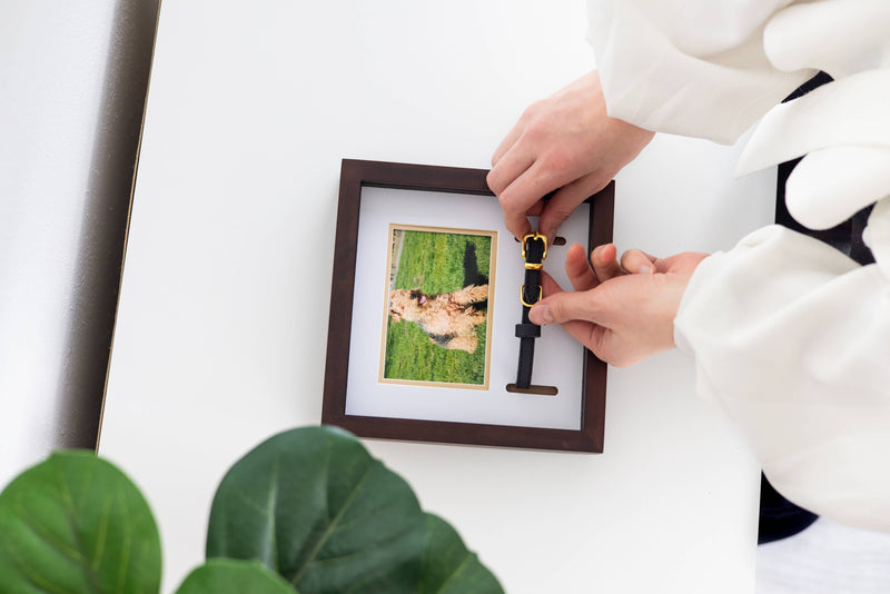 Memorial Pet Collar and Photo Frame in Espresso