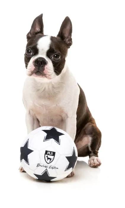 FuzzYard Soccer Ball Plush Dog Toy