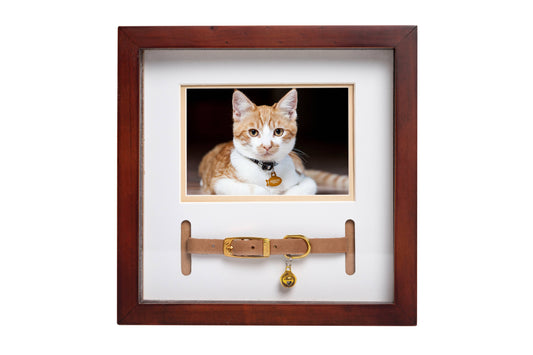 Memorial Pet Collar and Photo Frame in Espresso