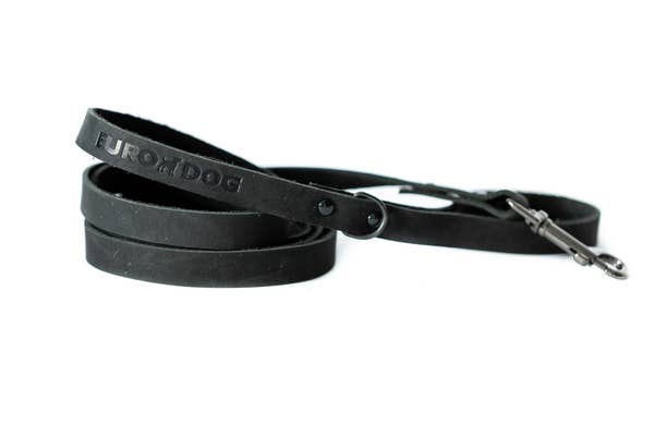 Sport Style Euro Dog Lead: Navy / Large 3/4" Wide 6' Long