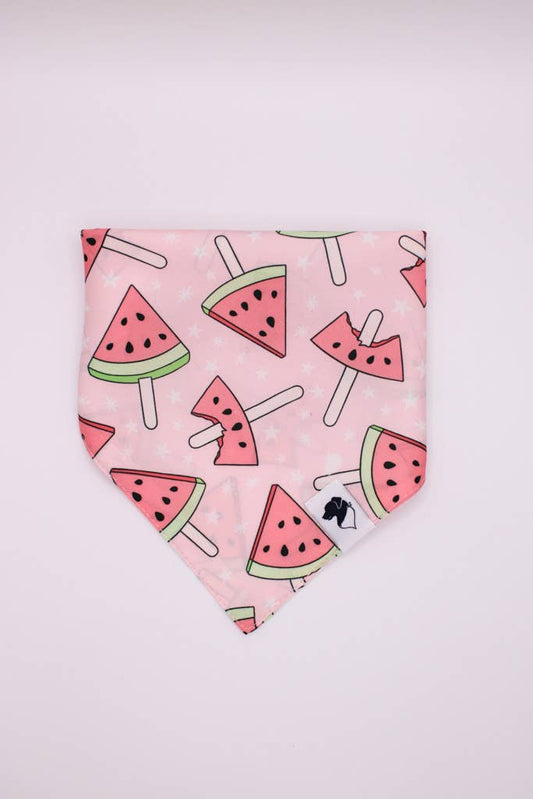 Watermelon Tie On Dog Bandana