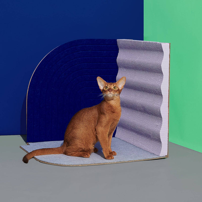 3D Cat Scratcher