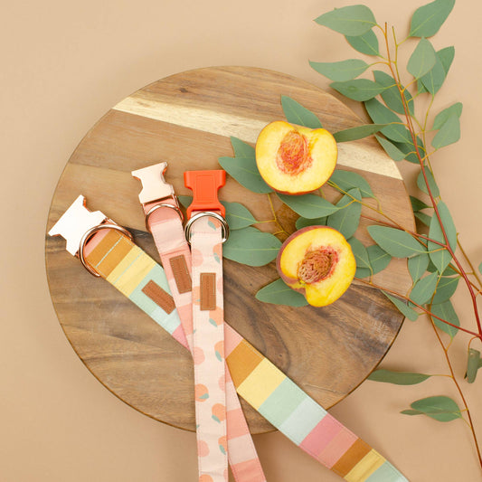 The Tallulah Leash: 1" x 5ft / Rose Gold / No Upgrades