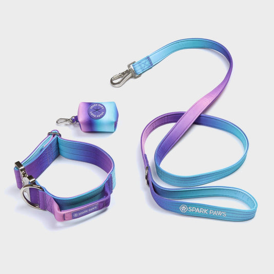 Spark Paws Comfort Control Dog Leash