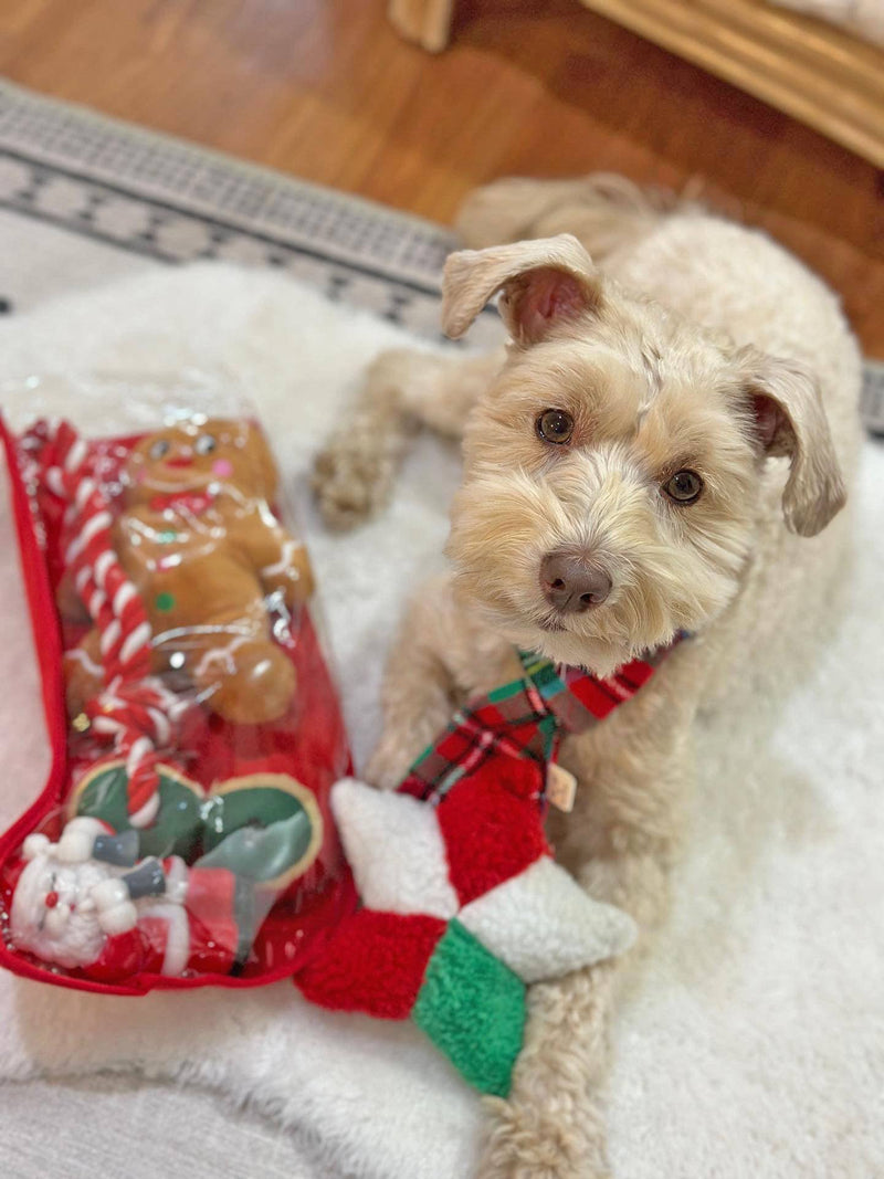 Midlee Toy Filled Christmas Dog Stocking Gift Set