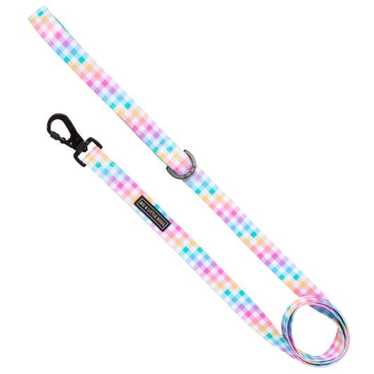 Big and Little DOG LEASH: Rainbow Gingham: 2.5cm Wide