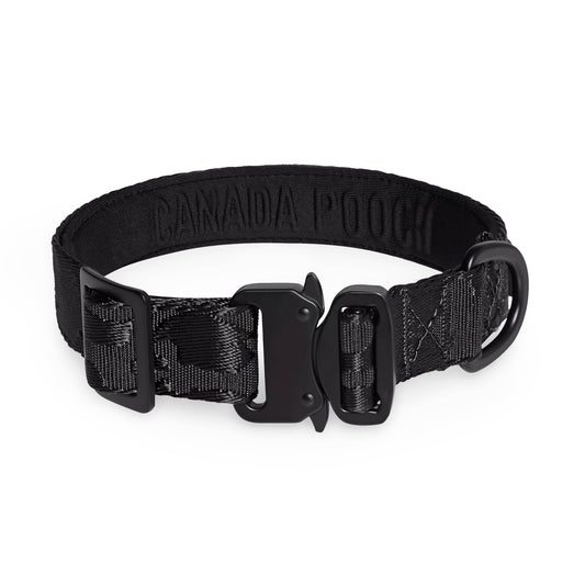 Utility Dog Collar