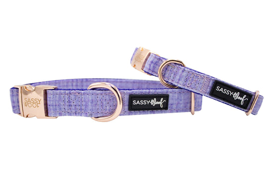 Dog Collar - Aurora (Solids)