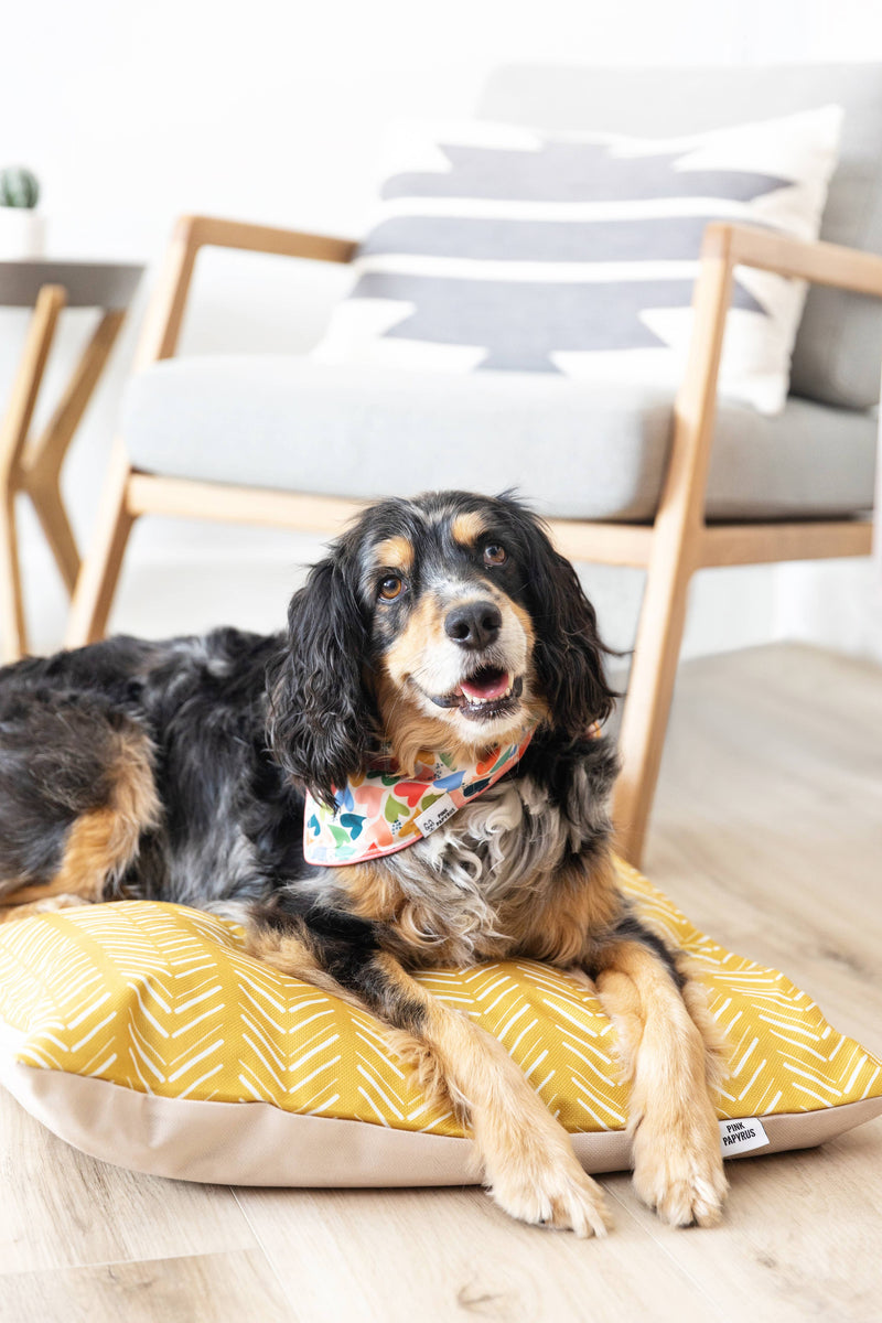 Yellow Chevron Pattern Washable Pet Bed Cover: Medium Bed Cover Only