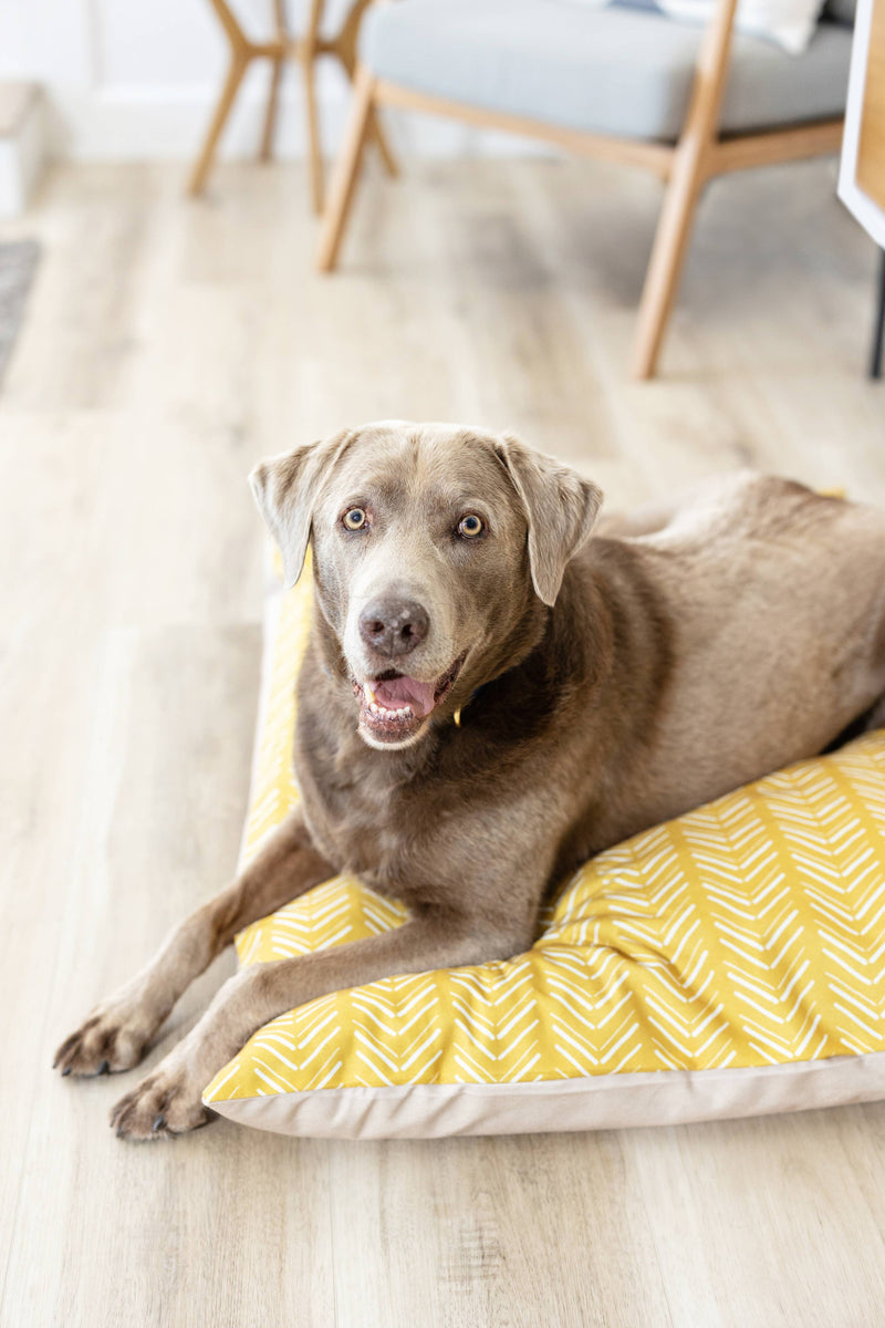 Yellow Chevron Pattern Washable Pet Bed Cover: Medium Bed Cover Only