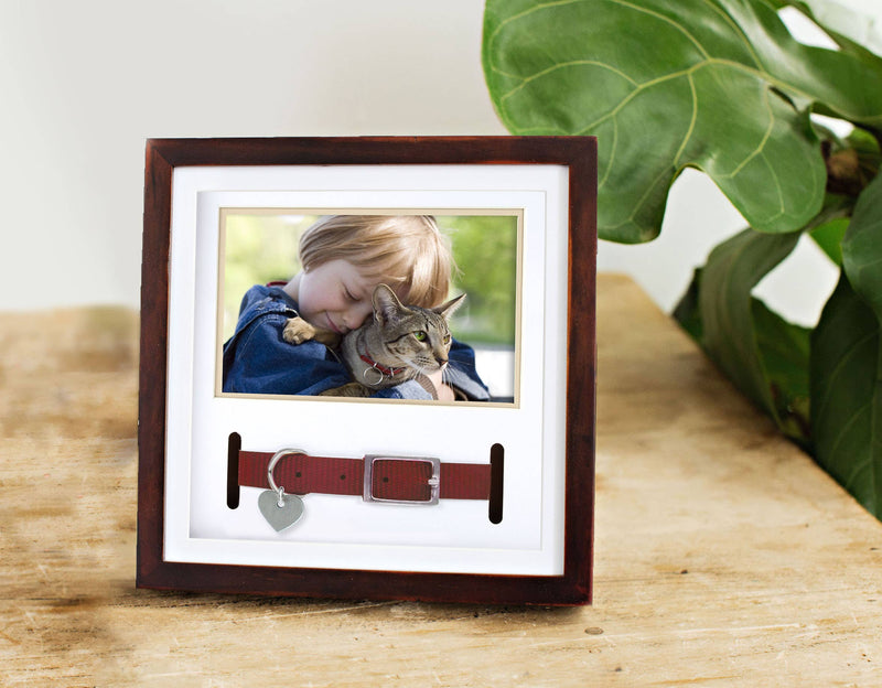 Memorial Pet Collar and Photo Frame in Espresso