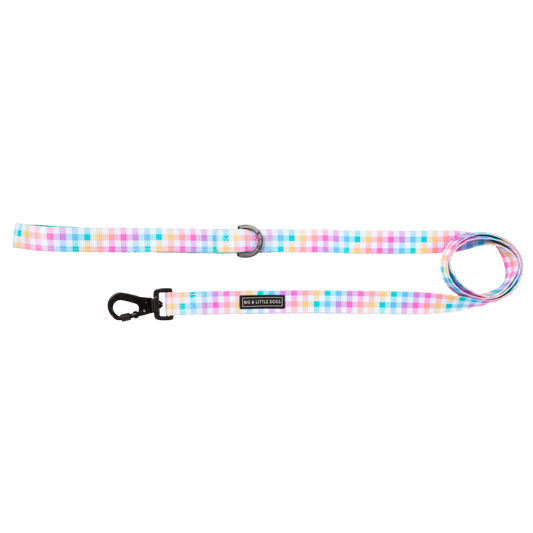 Big and Little DOG LEASH: Rainbow Gingham: 2.5cm Wide