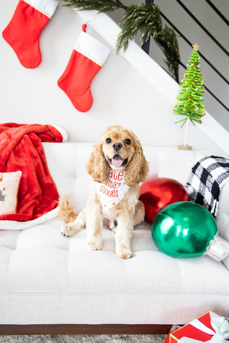 "I Ate Santa's Cookies" Christmas Dog Bandana, S/M