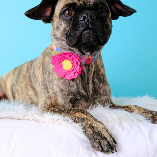 Mimi Green Dog Collar Flower