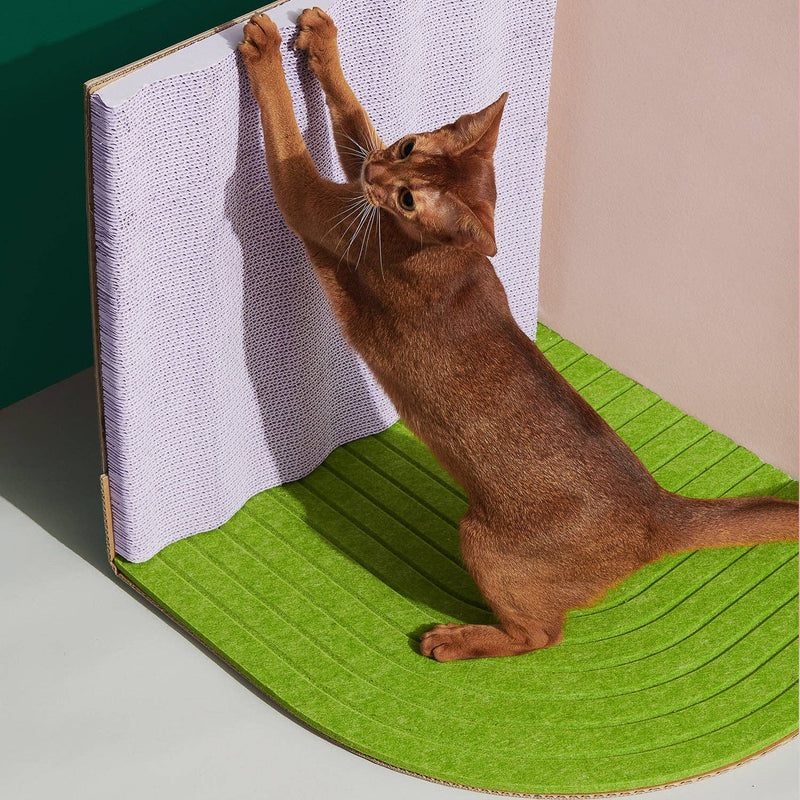 3D Cat Scratcher