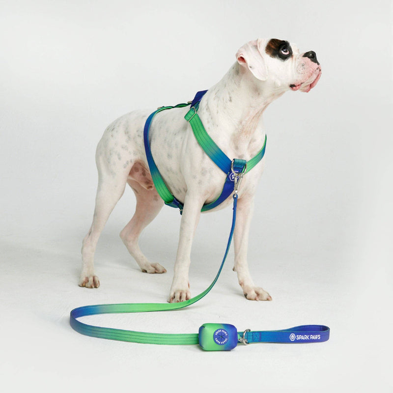 Spark Paws Comfort Control No-Pull Dog Harness - Lime Wave: L