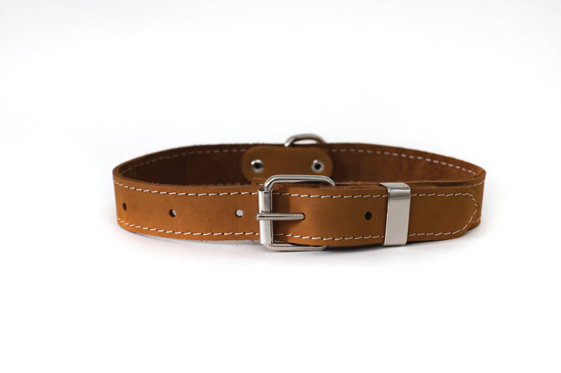 Traditional Style Soft Leather Euro Dog Collar: M 3/4" Wide 13"-17" Range / Coral Soft