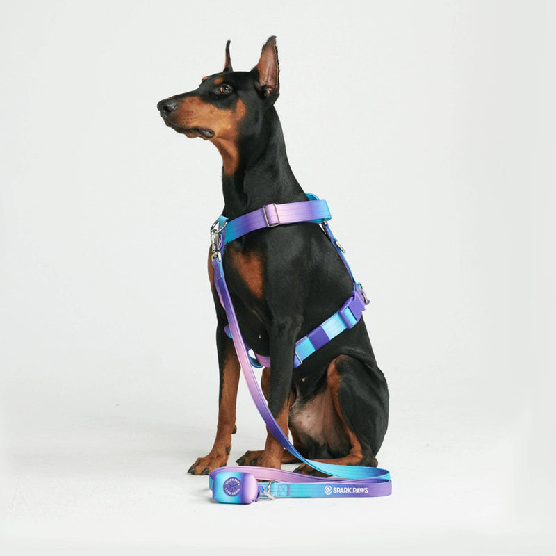 Spark Paws Comfort Control No-Pull Dog Harness - 90s Retro: L